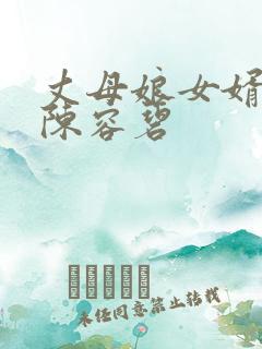 丈母娘女婿小说陈容碧