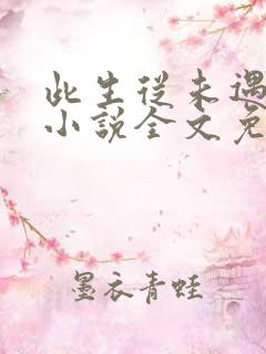此生从未遇见你小说全文免费阅读