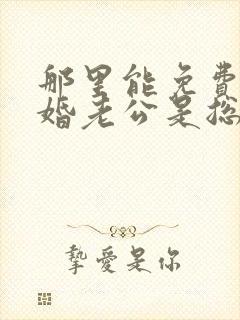 那里能免费看闪婚老公是总裁短剧