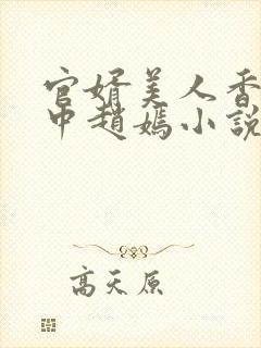 官婿美人香刘志中赵嫣小说