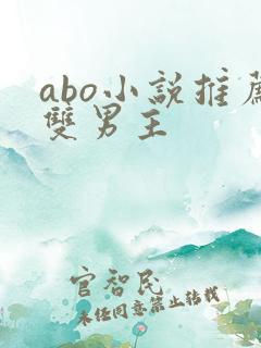 abo小说推荐双男主