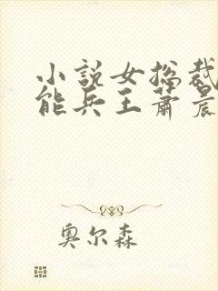 小说女总裁的全能兵王萧晨免费阅读