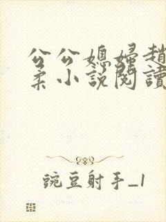 公公媳妇赵刚苏柔小说阅读