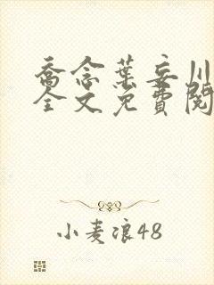 乔念叶妄川正版全文免费阅读最新