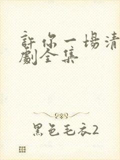 许你一场清欢短剧全集