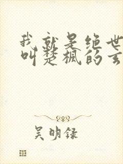 我就是绝世天才叫楚枫的玄幻小说