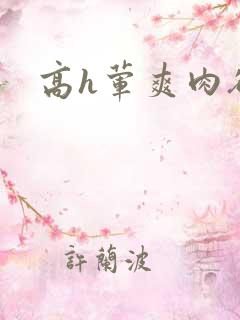高h荤爽肉欲
