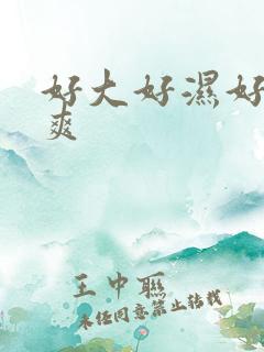 好大好湿好硬好爽
