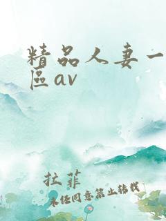 精品人妻一区二区av