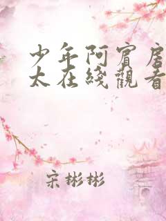 少年阿宾房东太太在线观看