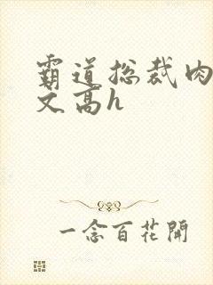 霸道总裁肉多荤文高h