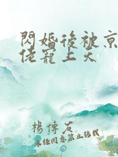 闪婚后被京圈大佬宠上天