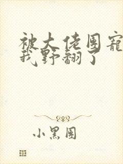 被大佬团宠后,我野翻了