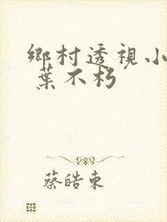 乡村透视小仙医 叶不朽