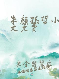 朱颜孙哲小说全文免费
