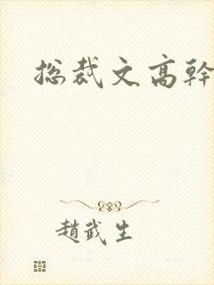 总裁文高干文
