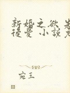 新婚之欲 先婚后爱 小说免费阅读