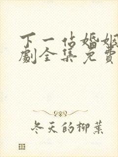下一站婚姻电视剧全集免费观看高清