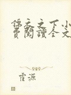 锦衣之下小说免费阅读全文无删减