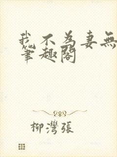 我不为妻无弹窗笔趣阁