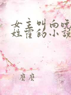 女主叫向晚男主姓霍的小说