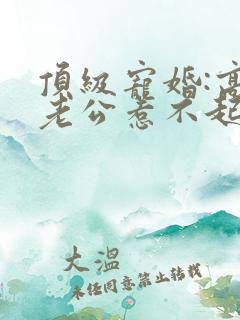 顶级宠婚:高冷老公惹不起