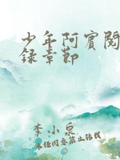 少年阿宾阅读目录章节