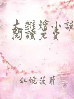 大杂烩小说全集阅读免费