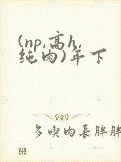 (np,高h,纯肉)年下