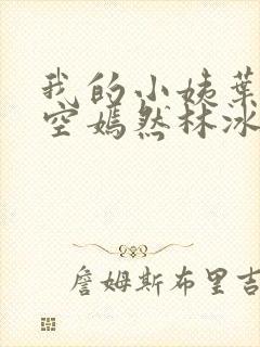 我的小姨叶凡司空嫣然林冰