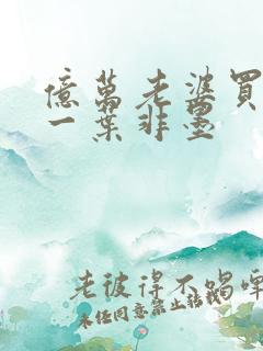 亿万老婆买一送一叶非墨