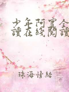 少年阿宾全文阅读在线阅读全文第一季