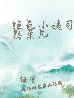 绝色小姨司空嫣然叶凡