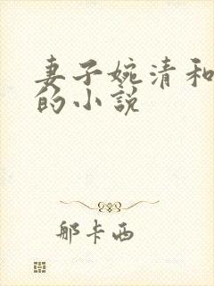 妻子婉清和魏强的小说