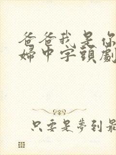 爸爸我是你儿媳妇中字头剧情介绍