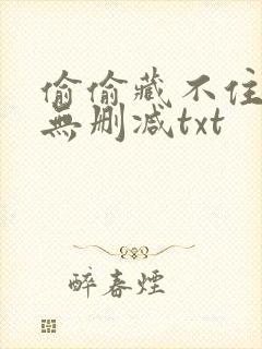 偷偷藏不住全文无删减txt