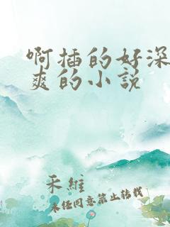 啊插的好深舒服爽的小说