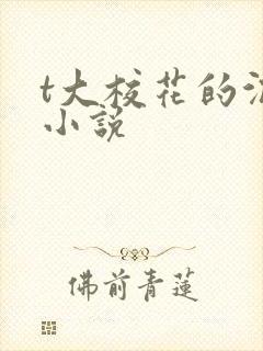 t大校花的沉沦小说