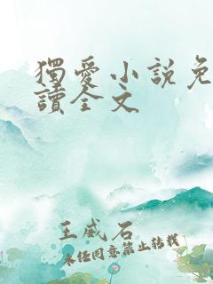 独爱小说免费阅读全文
