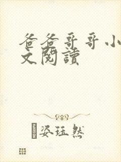 爸爸哥哥小说全文阅读