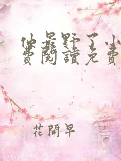他最野了小说免费阅读免费