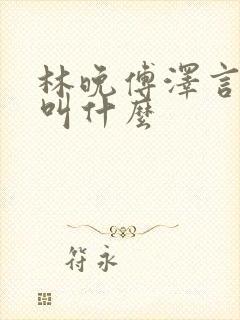 林晚傅泽言小说叫什么