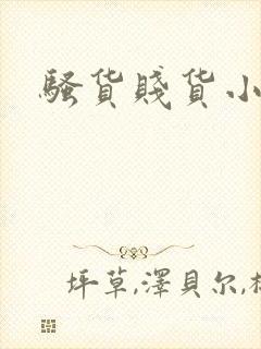 骚货贱货小说