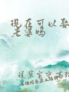 现在可以娶两个老婆吗