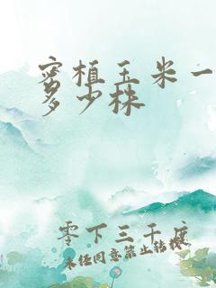 密植玉米一亩地多少株