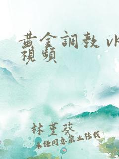 黄金调教 vk视频