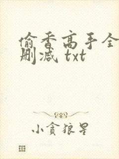 偷香高手全文无删减 txt