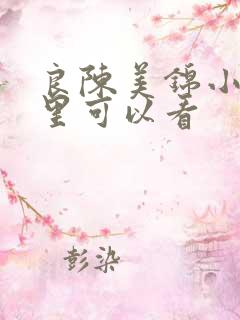 良陈美锦小说哪里可以看