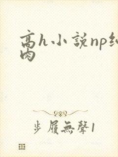 高h小说np纯肉