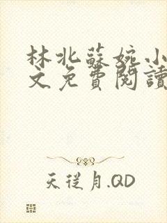 林北苏婉小说全文免费阅读笔趣阁